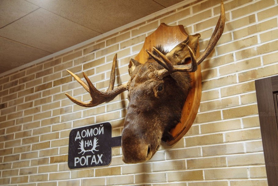 Синий Лось Домодедово паб Хаус