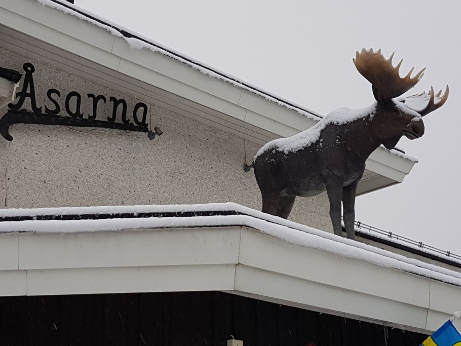 Moose Душанбе