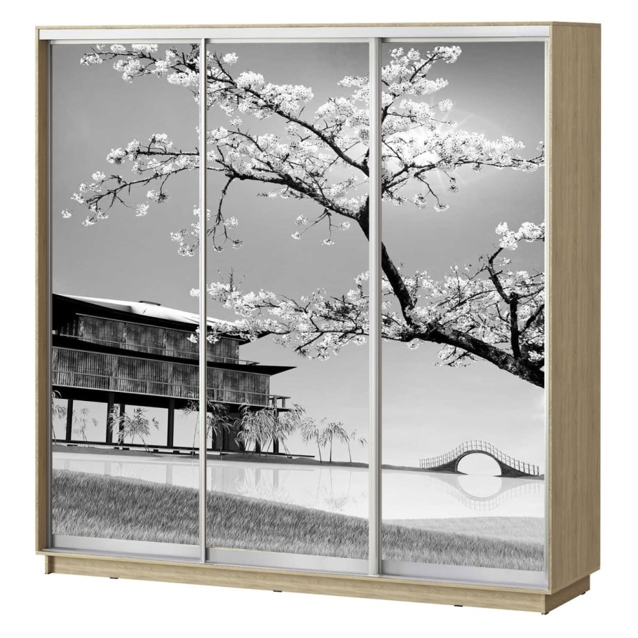 Шкаф купе 3 створчатый Сакура