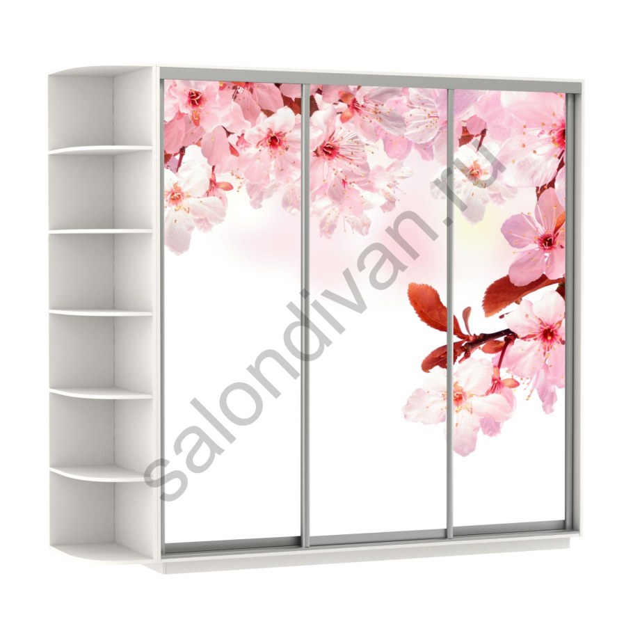 Шкаф купе Сакура 3х створчатый