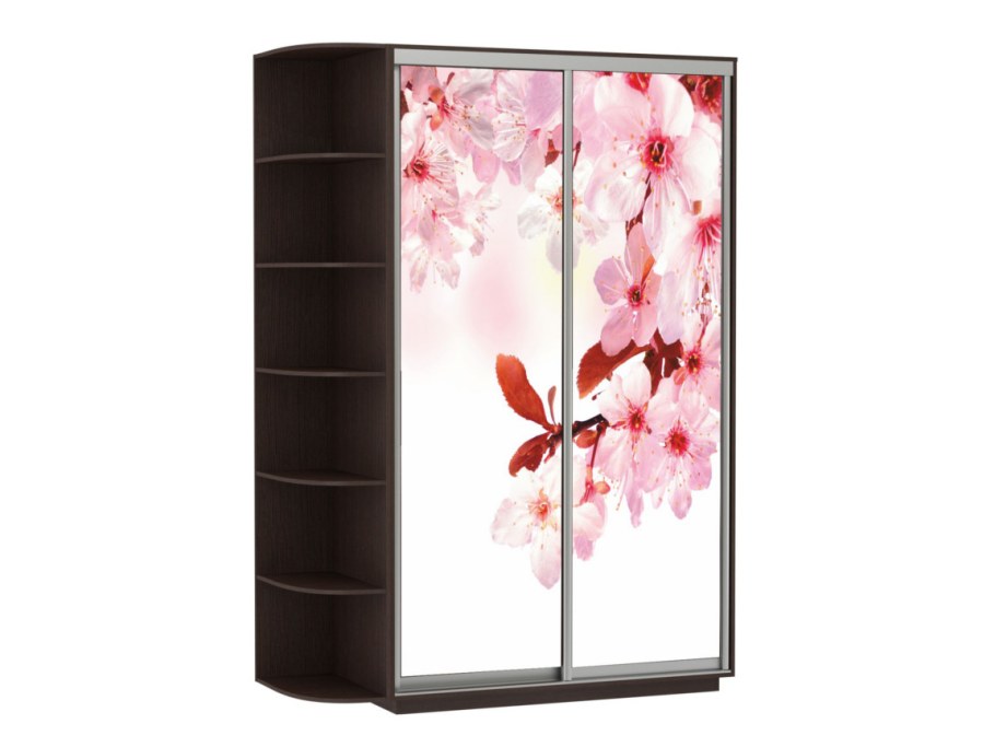 Шкаф купе Сакура 3х створчатый