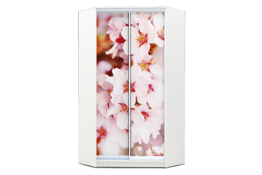 Шкаф хит Сакура белый