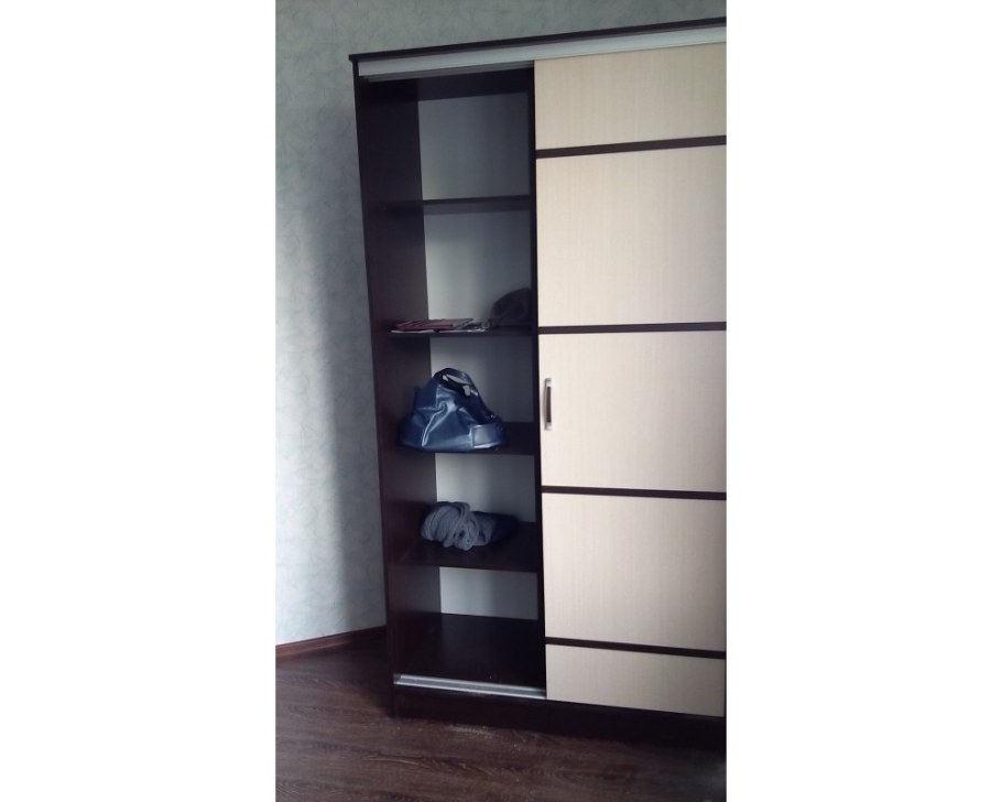 Шкаф-купе 1140 Сакура