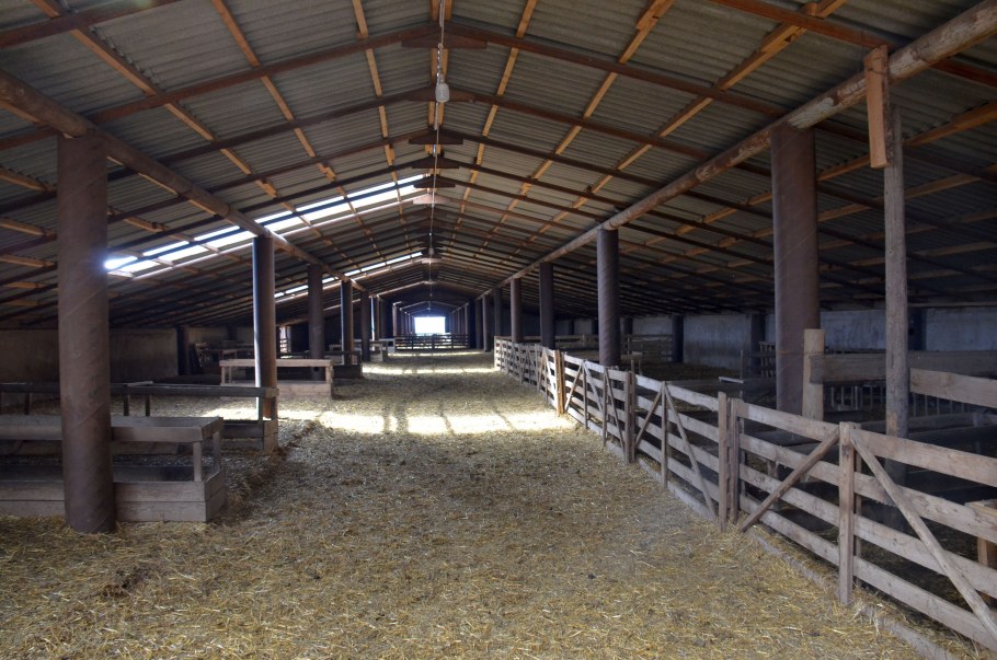 СПК Племзавод Ромашковский