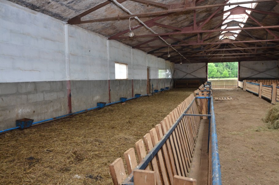 Овчарня для овец на 100 голов