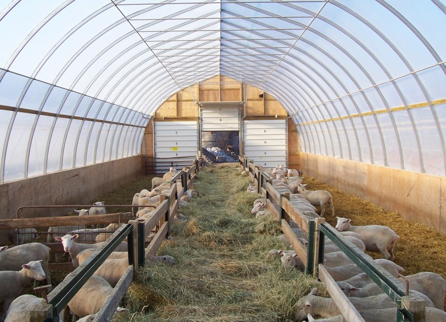 Помещение для Баранов