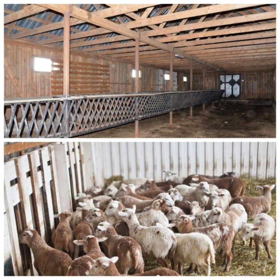 Мини Кошара для овец