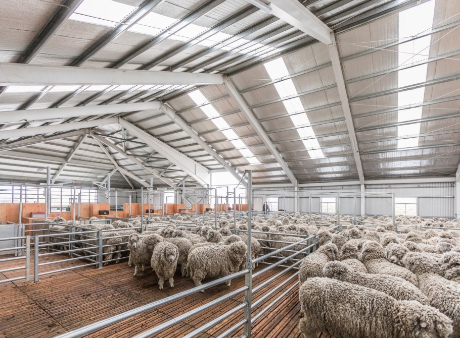 Проект овчарни на 500 голов овец