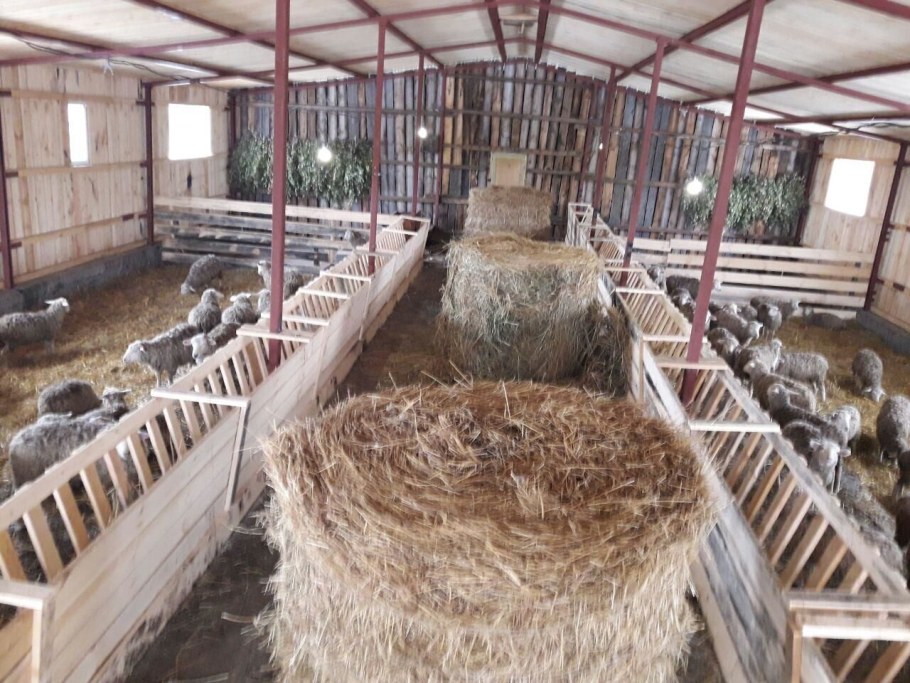 Овчарня хлев