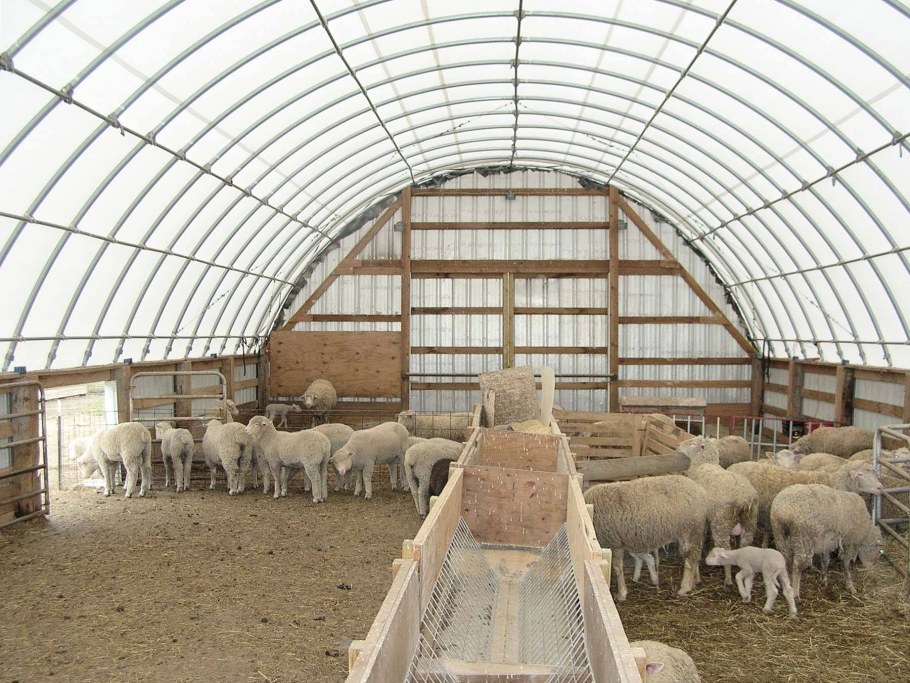 Овцеводство овчарня