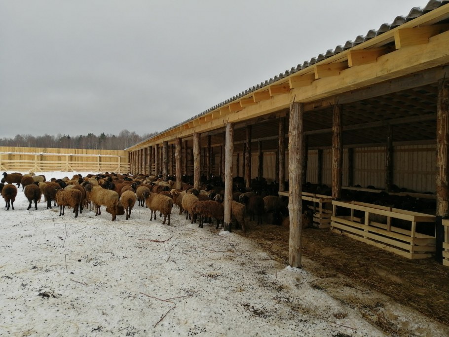 Овчарня для Баранов проект