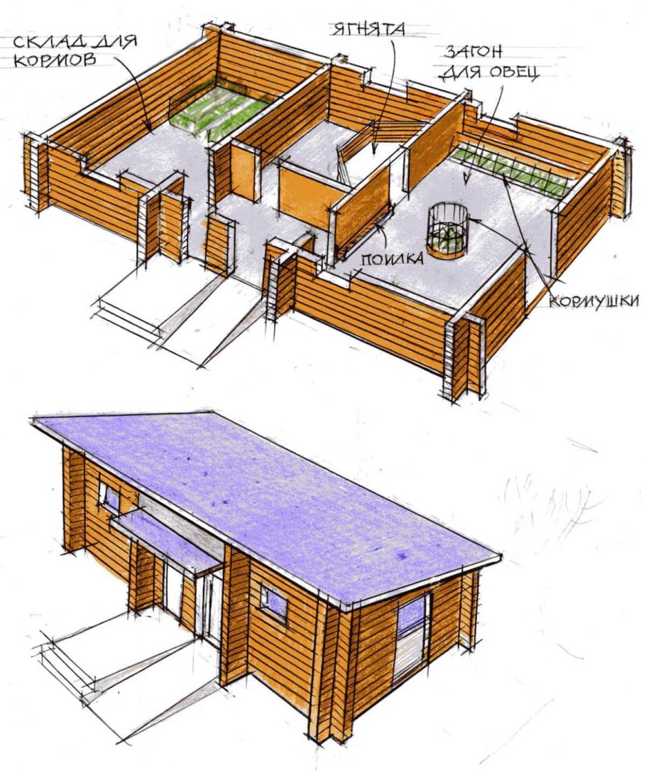 Планировка овчарни на 20 голов