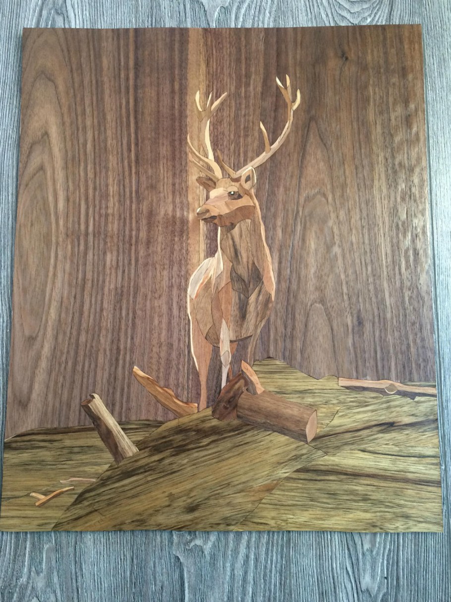 Дерево Маркетри Калинин