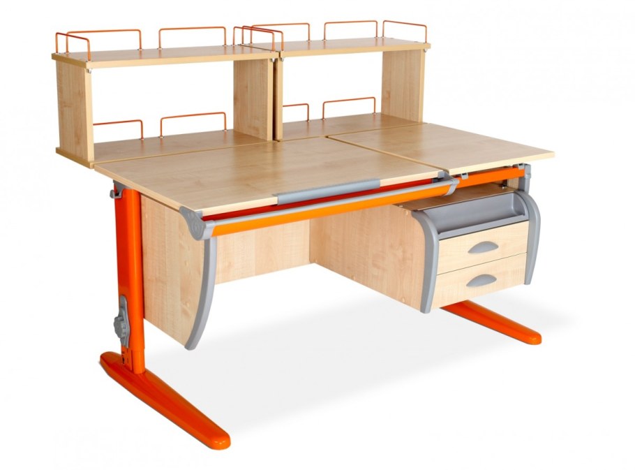 Растущая парта Демми коллиьри и стул