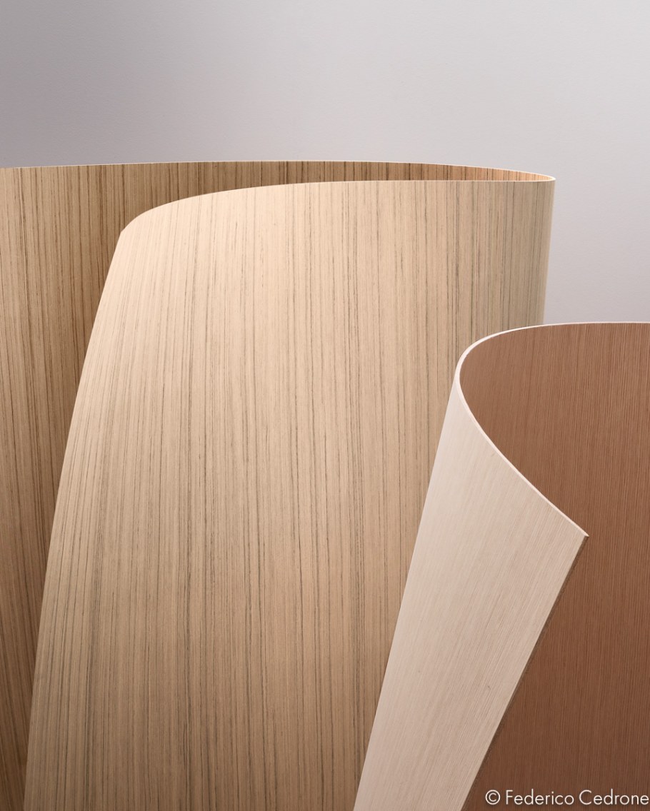 Шпонированная фанера