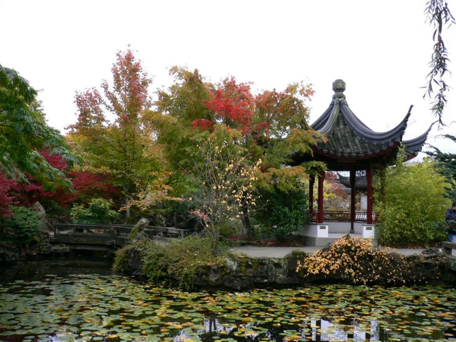 Воронцовский парк японский сад