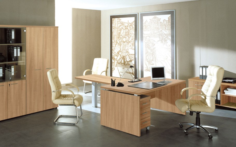 Кабинет руководителя Патриот