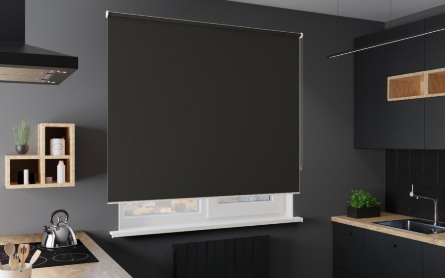Рулонные шторы Альфа Black out