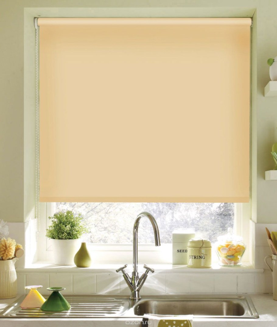 Рулонная штора Эскар однотонная