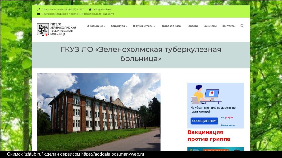 Зелёный холм Ленинградская область туберкулёзная больница