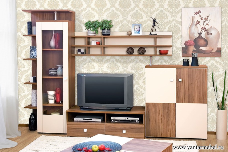 Стенка Эльза 1