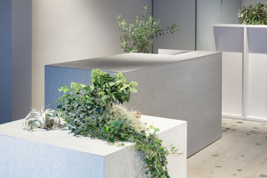 Растения в бетонном интерьере