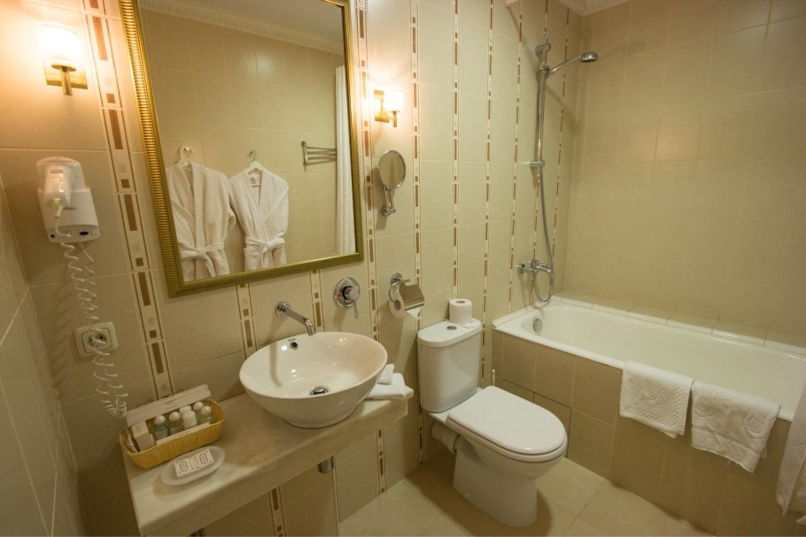 Стандарт плюс отель Чехов