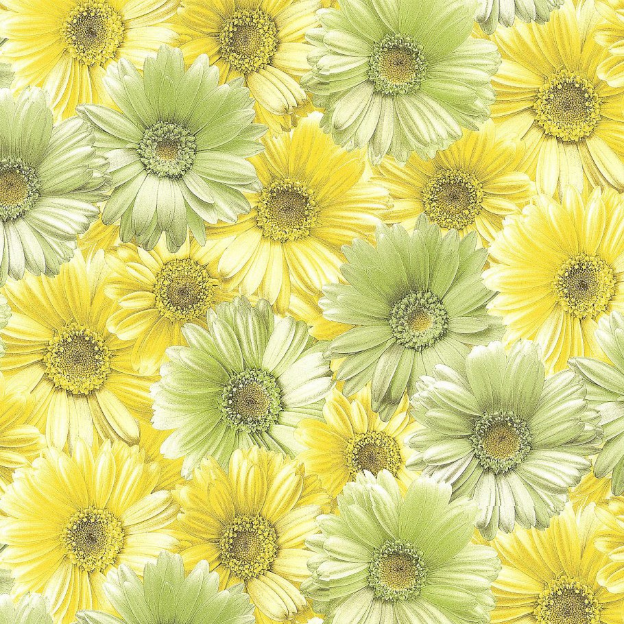 Обои герберы Маякпринт