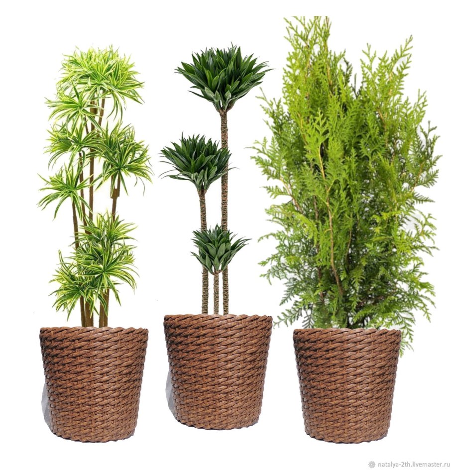 Кашпо 12x12x12см