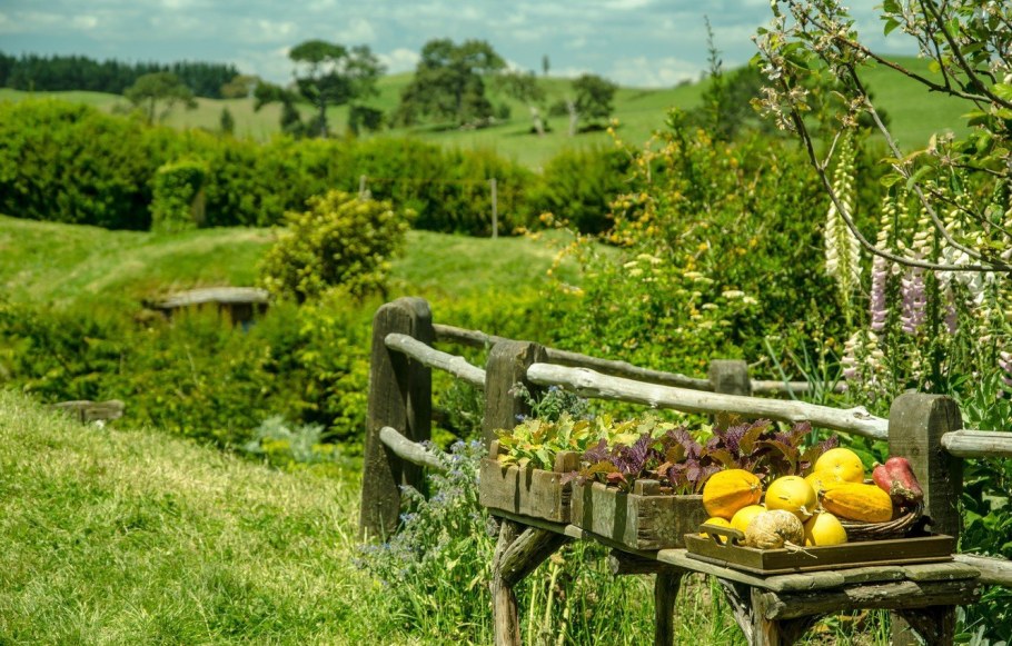 Август природа