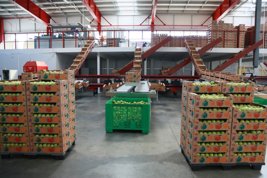 Фруктохранилище для яблок