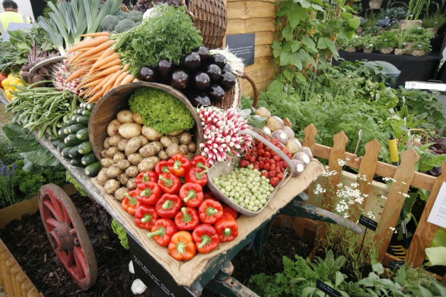 Садоводство и огородничество