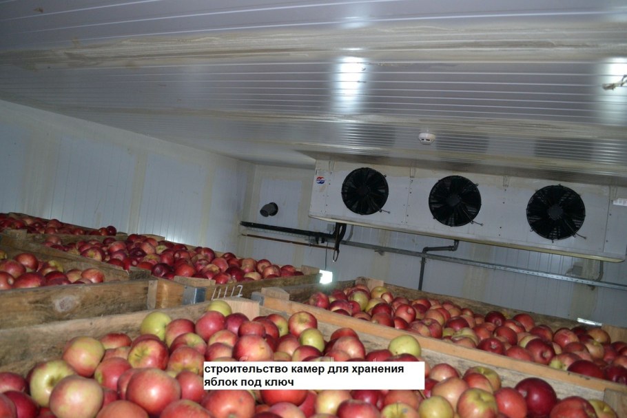 Холодильная камера для овощей 30мкв