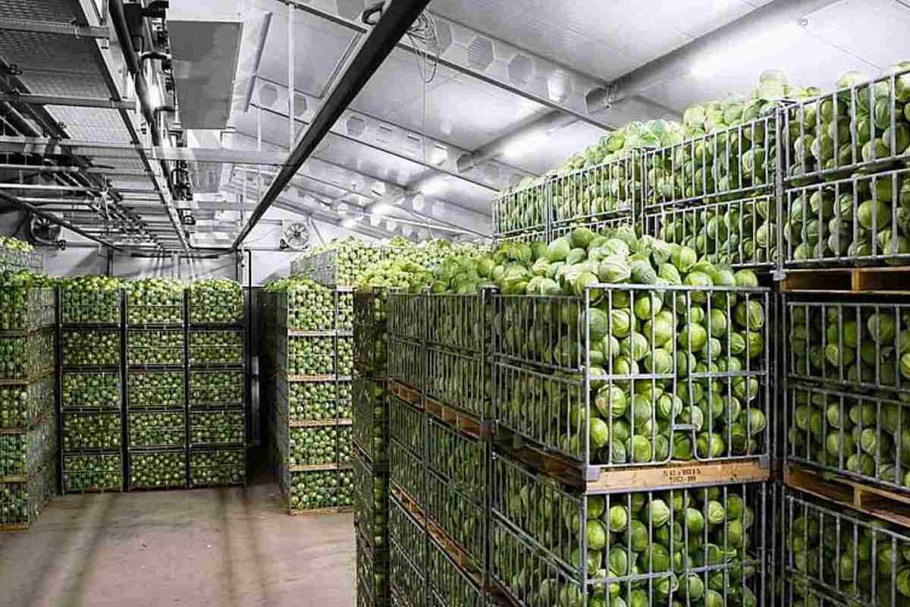 Оборудование для овощехранилища на 500 тонн