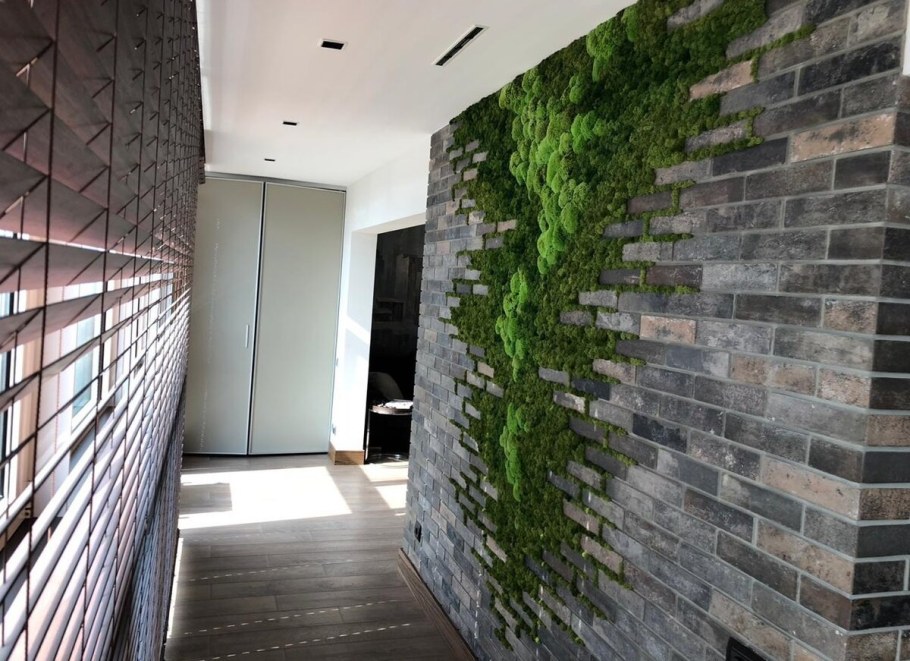 Стабилизированный мох в интерьере