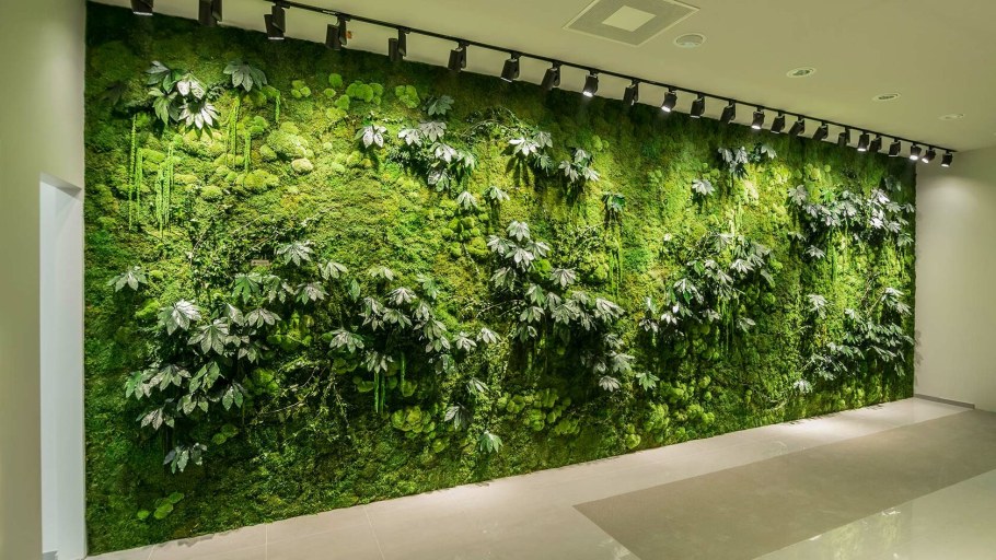 Фитокартина мох растения