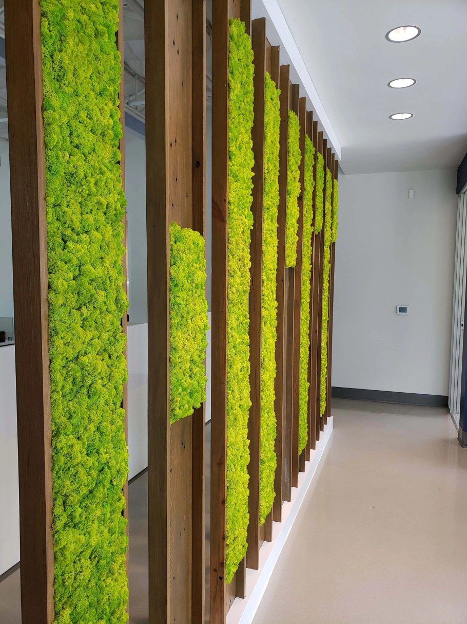 Мох на стену в квартиру