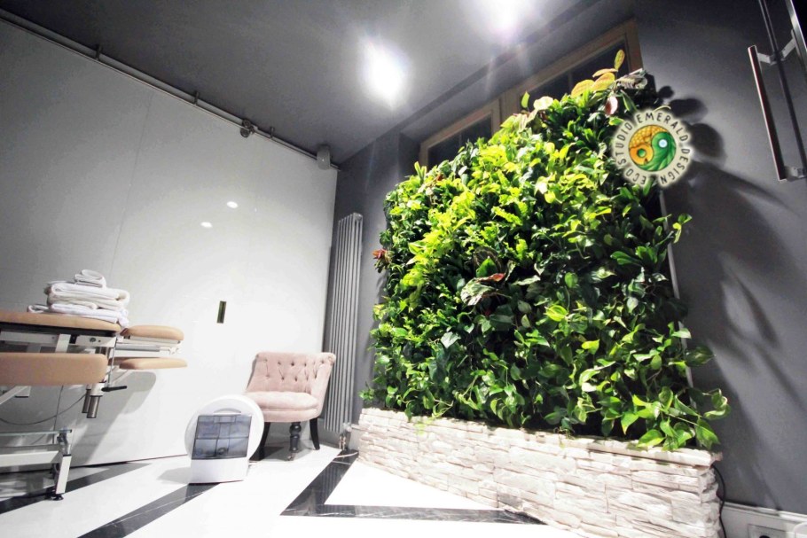 Вертикальное Озеленение в школе