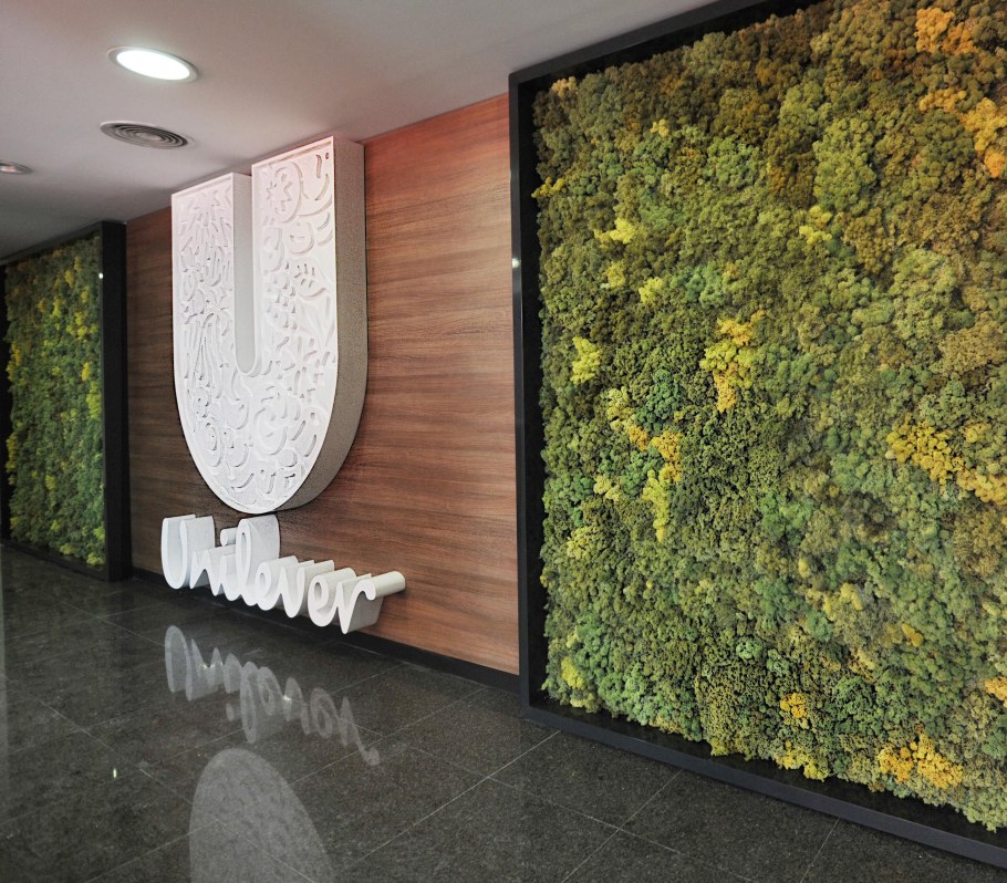 Стабилизированные деревья в интерьере