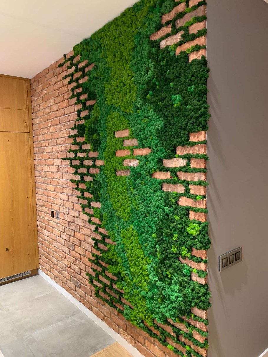 Стенка из мха