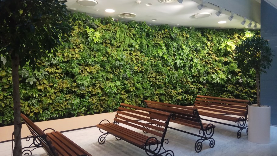 Тимура Фрунзе фитостена