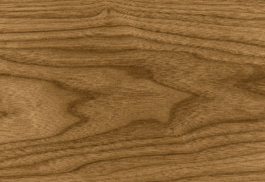Black Walnut Wood