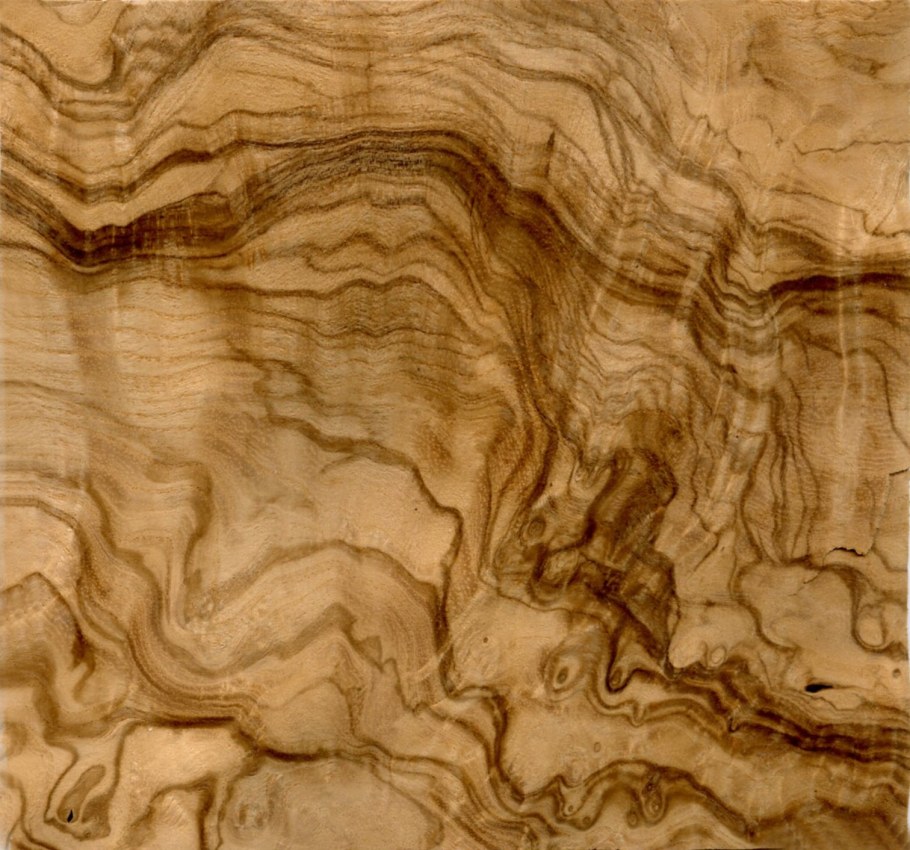 Черепаховое дерево шпон