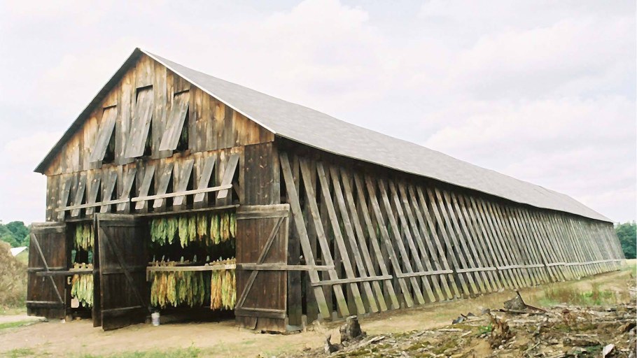 Дом из жердей