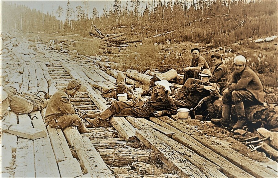 Лежневка из бревен