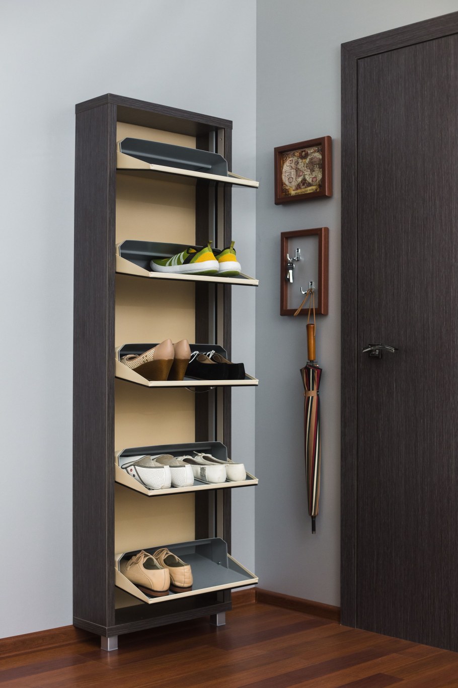 Шкаф обувной Айрон Люкс 5с