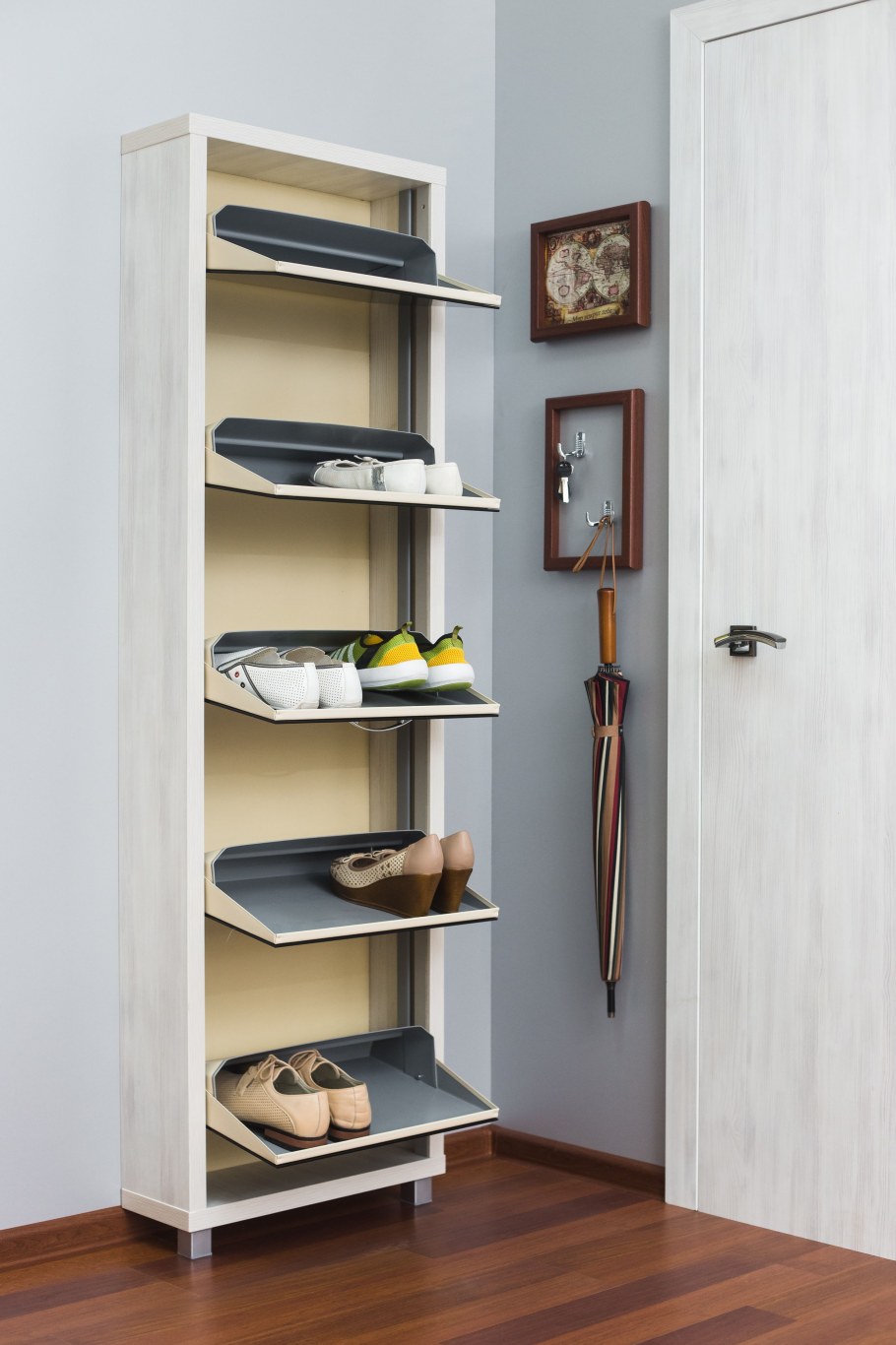 Шкаф обувной Айрон Люкс 5с