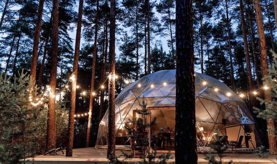 Вилли улей глэмпинг