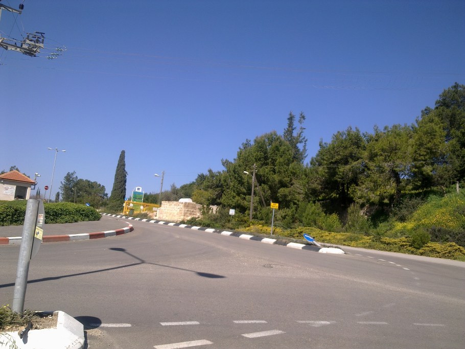 TREIIEX Beit conducerчто это такое