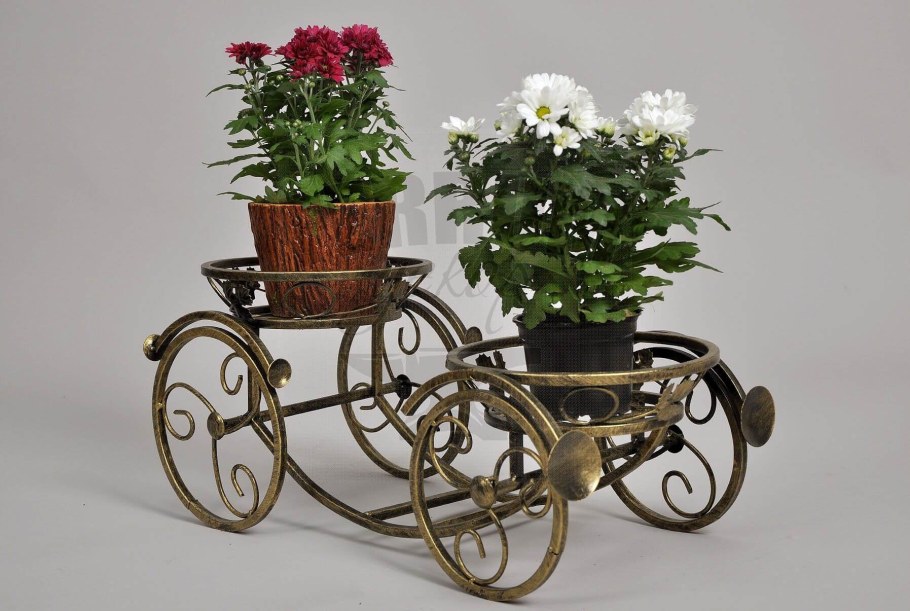 Цветочница Версаль карета